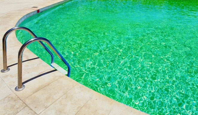 A Swimming Pool with Green Water