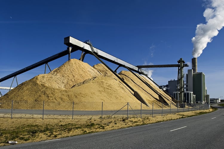 Image of wood chips for paper pulp