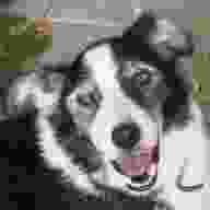Lossy Compression