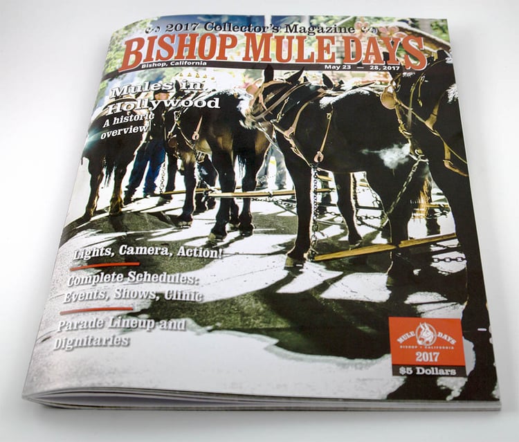 Image of an example of a glossy magazine